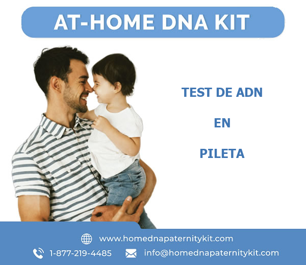 Test de ADN en Pileta